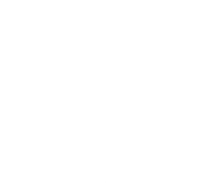 project background